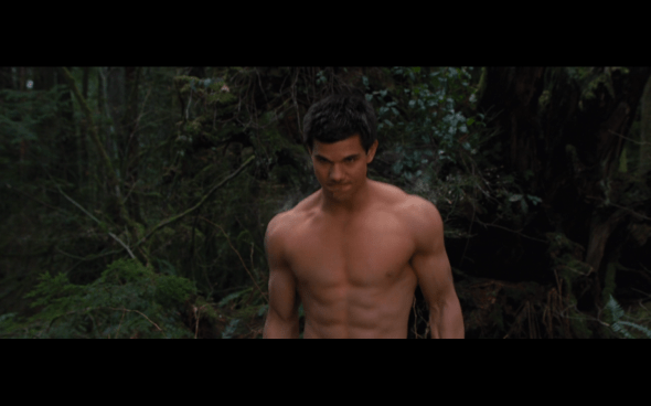 The Twilight Saga Breaking Dawn Part 2 - 522