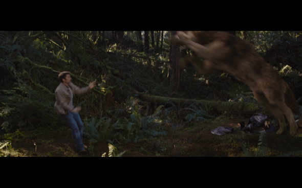 The Twilight Saga Breaking Dawn Part 2 - 524