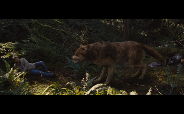 The Twilight Saga Breaking Dawn Part 2 - 525