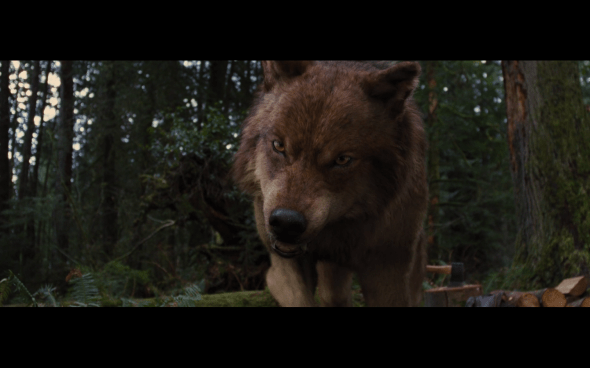 The Twilight Saga Breaking Dawn Part 2 - 527