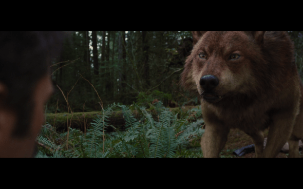 The Twilight Saga Breaking Dawn Part 2 - 529