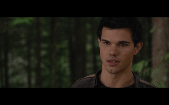 The Twilight Saga Breaking Dawn Part 2 - 530
