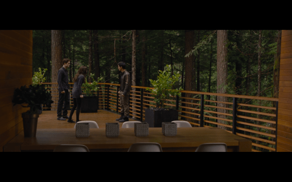 The Twilight Saga Breaking Dawn Part 2 - 533