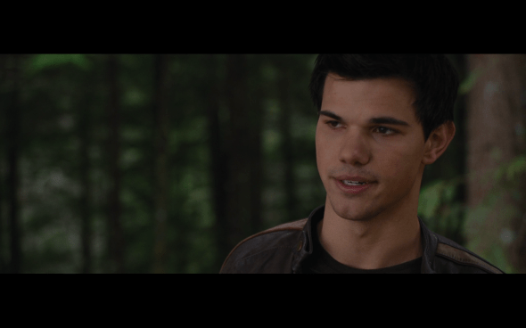 The Twilight Saga Breaking Dawn Part 2 - 538