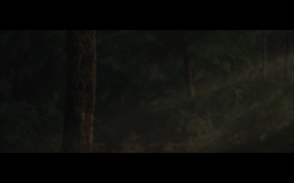 The Twilight Saga Breaking Dawn Part 2 - 651