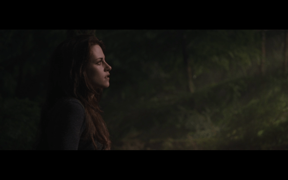 The Twilight Saga Breaking Dawn Part 2 - 652