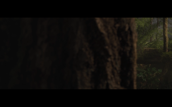 The Twilight Saga Breaking Dawn Part 2 - 654