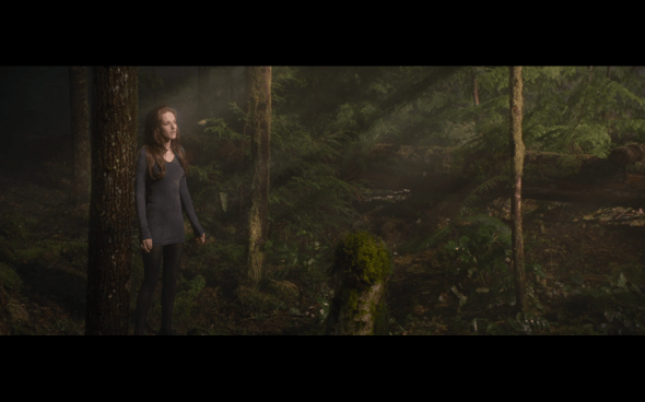 The Twilight Saga Breaking Dawn Part 2 - 655