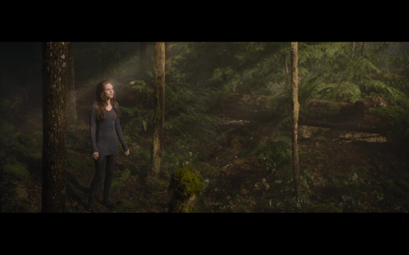 The Twilight Saga Breaking Dawn Part 2 - 656