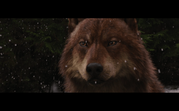 The Twilight Saga Breaking Dawn Part 2 - 675