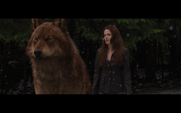 The Twilight Saga Breaking Dawn Part 2 - 676