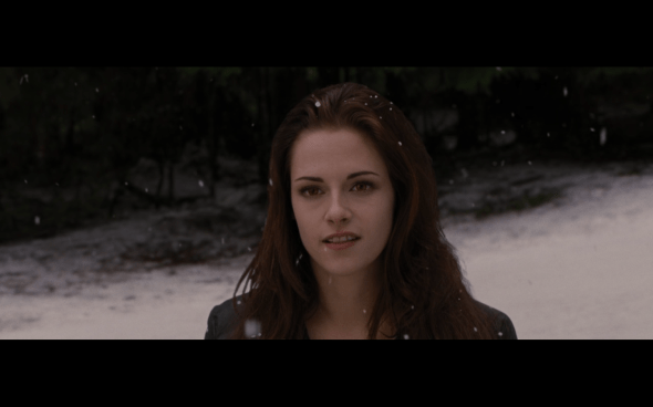 The Twilight Saga Breaking Dawn Part 2 - 678