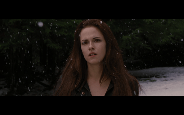 The Twilight Saga Breaking Dawn Part 2 - 687