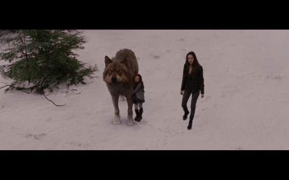 The Twilight Saga Breaking Dawn Part 2 - 688