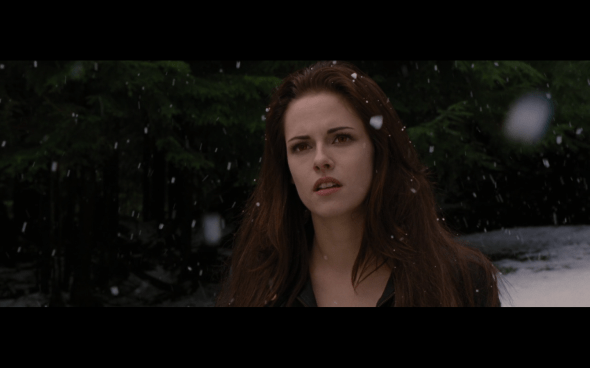 The Twilight Saga Breaking Dawn Part 2 - 690