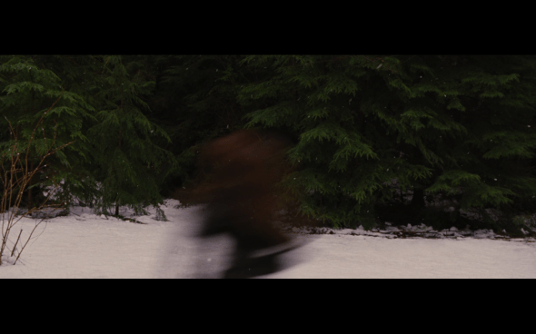 The Twilight Saga Breaking Dawn Part 2 - 695