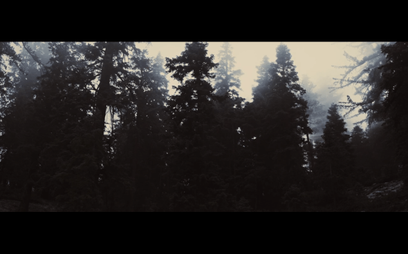 The Twilight Saga Breaking Dawn Part 2 - 736