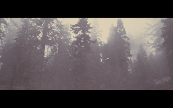 The Twilight Saga Breaking Dawn Part 2 - 737