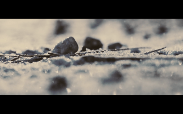 The Twilight Saga Breaking Dawn Part 2 - 738