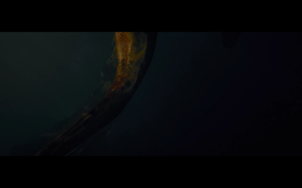 Pirates of the Caribbean On Stranger Tides - 1180