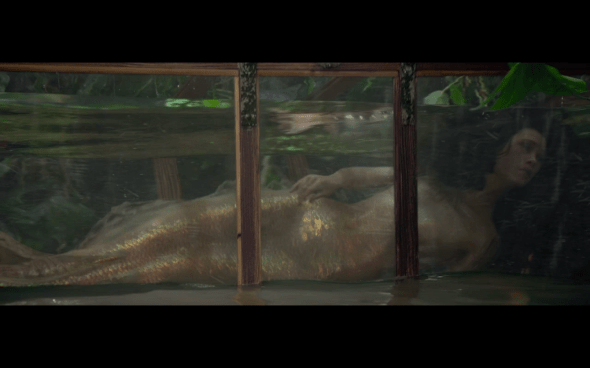 Pirates of the Caribbean On Stranger Tides - 1322