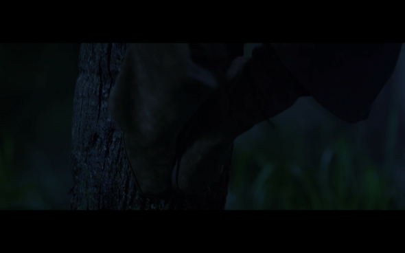 Pirates of the Caribbean On Stranger Tides - 1818