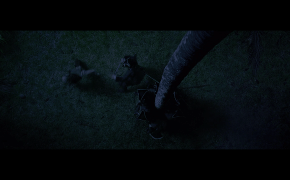 Pirates of the Caribbean On Stranger Tides - 1865