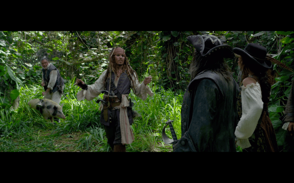 Pirates of the Caribbean On Stranger Tides - 1891