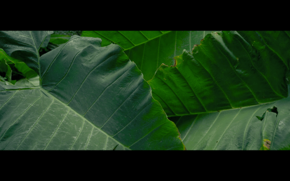 Pirates of the Caribbean On Stranger Tides - 1926