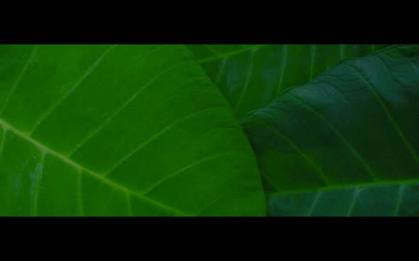 Pirates of the Caribbean On Stranger Tides - 1928