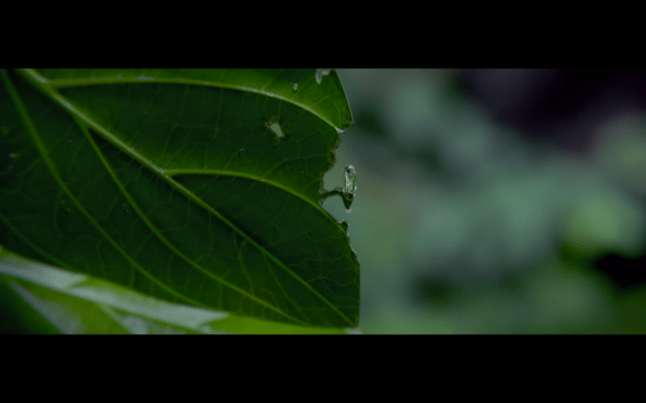 Pirates of the Caribbean On Stranger Tides - 1931