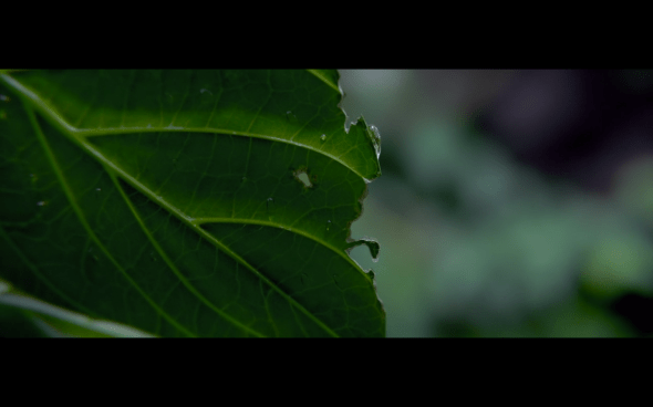 Pirates of the Caribbean On Stranger Tides - 1932
