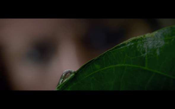 Pirates of the Caribbean On Stranger Tides - 1933