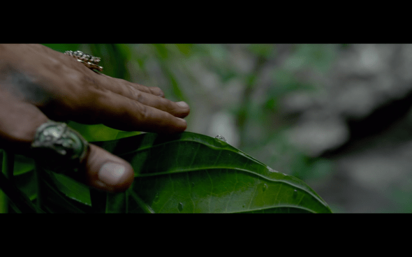 Pirates of the Caribbean On Stranger Tides - 1935