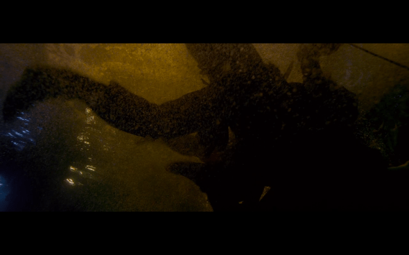 Pirates of the Caribbean On Stranger Tides - 595