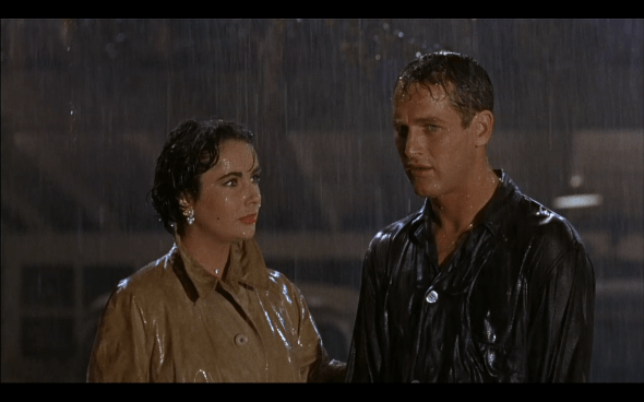 Cat on a Hot Tin Roof - 36