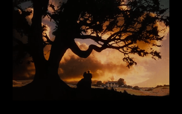 Gone With the Wind - 4