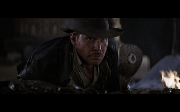 Raiders of the Lost Ark - 29