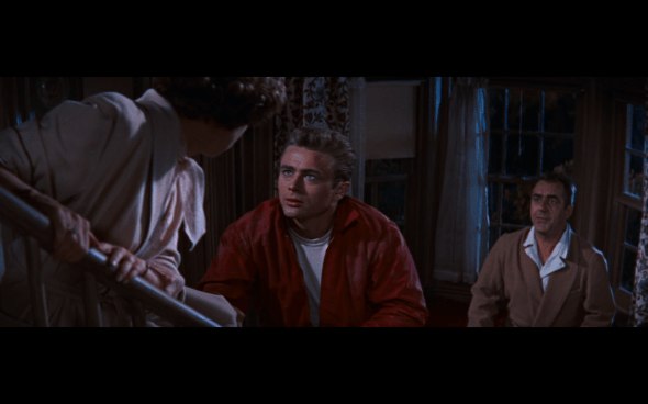 Rebel Without a Cause - 86