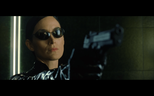 The Matrix Reloaded - 1028