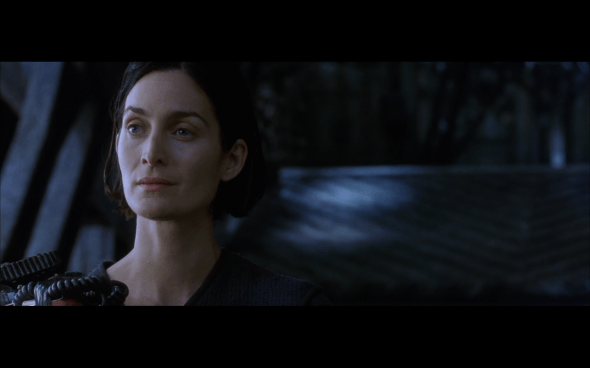 The Matrix Reloaded - 367