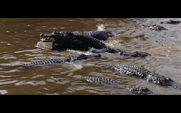 Indiana Jones and the Temple of Doom - 1794