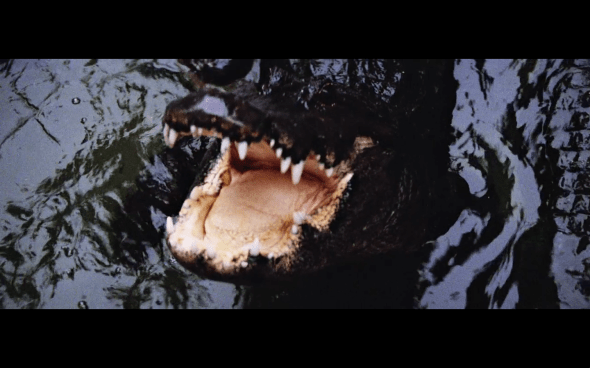 Indiana Jones and the Temple of Doom - 1887