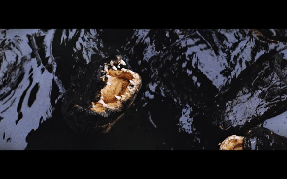 Indiana Jones and the Temple of Doom - 1888