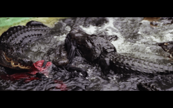 Indiana Jones and the Temple of Doom - 1902