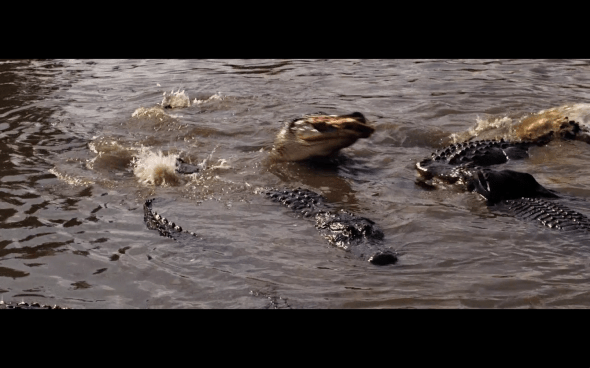 Indiana Jones and the Temple of Doom - 1975