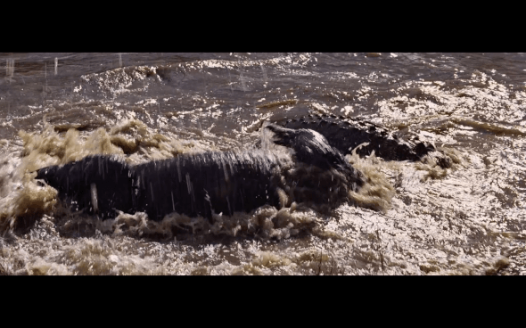 Indiana Jones and the Temple of Doom - 1976