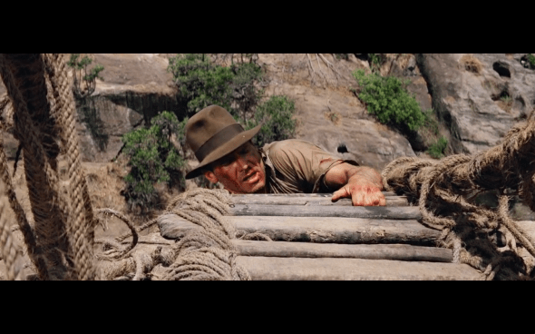 Indiana Jones and the Temple of Doom - 1996