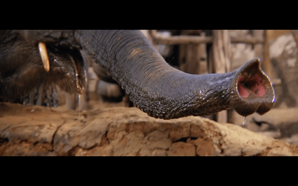 Indiana Jones and the Temple of Doom - 2048