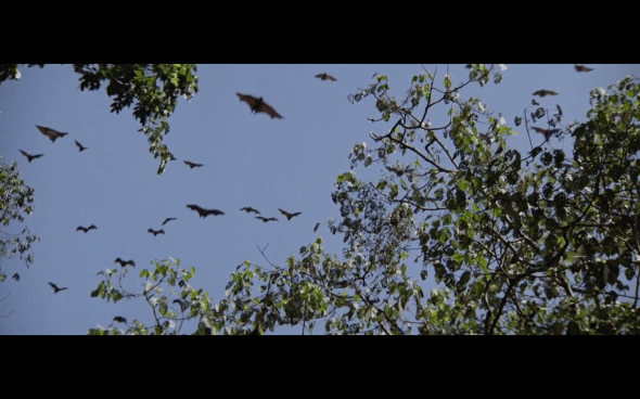 Indiana Jones and the Temple of Doom - 537